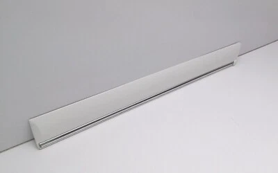 GM Buick Century 1997-2002 moldura trasera S/D centro izquierdo blanco OEM 88952081 Foto 1 de 4