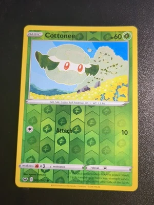 Cottonee 005/202 Swsh01: Sword & Shield Reverse Holo - Image 1 of 2
