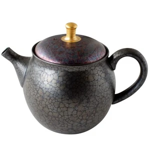 Tokoname Ware Tokocralabo (Tokocralabo) Shoryu forno teiera Tenmoku Kinzumi Tenmo - Foto 1 di 8