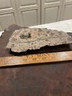 Gold Miner Pam Handler On Granite Rock Cowboy Art Vintage