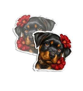 Pegatina Rottweiler cachorro EE. UU. calcomanía piel bebé perro criaturas mimosas paquete de 2 - Imagen 1 de 4