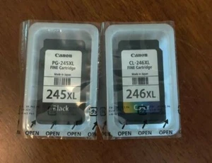 DWA oryginalne PUSTE... Canon 245XL czarne i 246XL trójkolorowe wkłady - Darmowa wysyłka - Zdjęcie 1 z 1