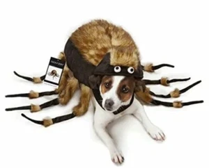 Zack & Zoey Fuzzy Tarantula Costume for Dogs, 8" X-Small - Picture 1 of 3