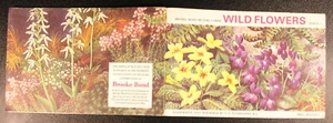 WILD FLOWERS SERIES 3 BROOKE BOND PG TIPS TEA CARD VINTAGE ALBUM - Picture 1 of 10