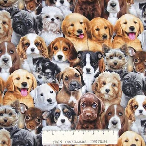 Dog Fabric - Adorable Pets Packed Puppy Puppies - Elizabeth's Studio YARD - Picture 1 of 1