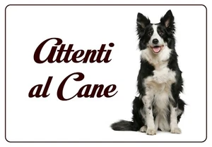 BORDER COLLIE TARGA ATTENTI AL CANE RESISTENTE ROBUSTA IN HPL 200 X 140 MM - Imagen 1 de 1