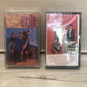 Exile 2 Cassette Lot Still Standing & Hang On To Your Heart 80s POP Rock NEW!!! - Picture 1 of 5