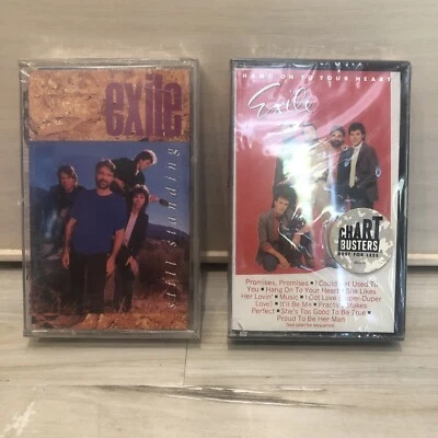 Exile 2 Cassette Lot Still Standing & Hang On To Your Heart 80s POP Rock NEW!!! - Image 1 of 4