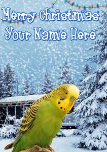 Budgie Christmas Card Scene Card PIDK37  Greeting Card Personalised Mum Dad son - Picture 1 of 1