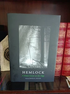Hemlock: A Forest Giant on the Edge - Imagen 1 de 13
