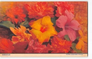 Fine Hawaiian Hibiscus Flowers~ Bates 1930s Hawaii Postcard Matson Lei -H7 - Picture 1 of 4