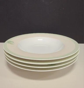 Villeroy & Boch Alemania Florea Folia juego de 4 cuencos de sopa con borde - Imagen 1 de 1
