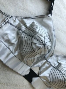 NIP Secrets In Lace 32DD Satin Bullet Bra Silver with Black Trim Made in India