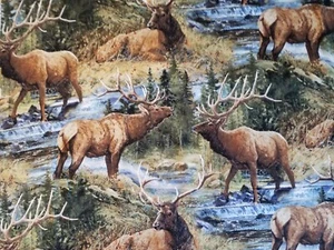 Wild Wings Lazy Afternoon Cotton fabric BTY - Picture 1 of 5