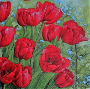 4 x Single Paper Napkins Decoupage Craft and Table Red Tulips 74 - Picture 1 of 2