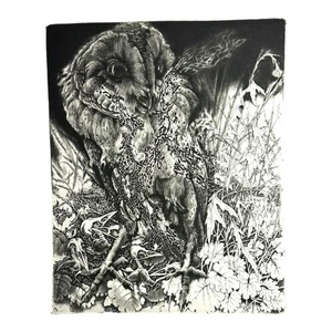 Vintage Detailed Etching Entitled Gemengde Etstechniek by Hugo Besard - Picture 1 of 12