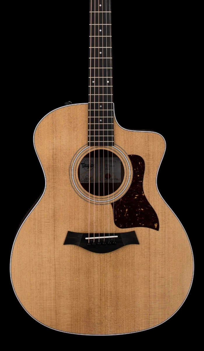 Taylor 214-ce ジャンク品 Taylor 214-ce ジャンク品