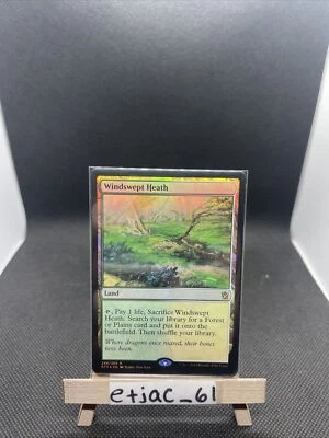 windswet heath khans foil Nm 248/269 - Image 1 of 2