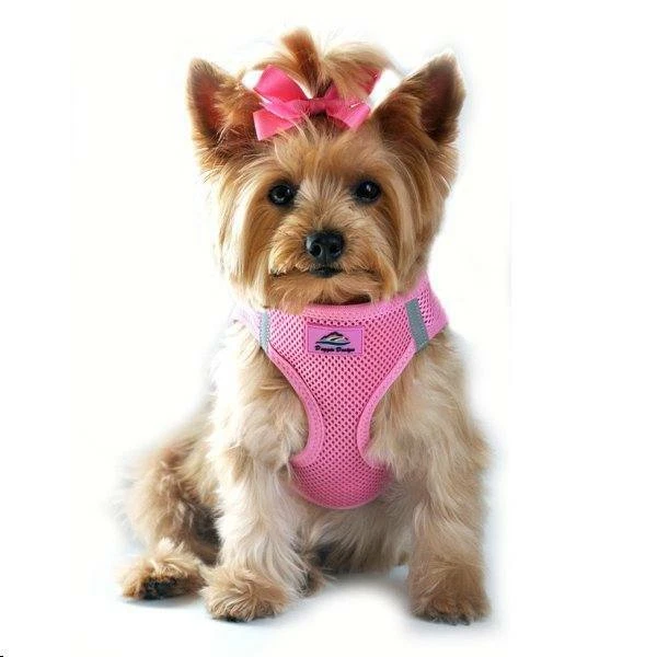 Arnés para perros American River Ultra sin estranguladores en rosa caramelo tallas XSM y MED NUEVO Foto 1 de 1
