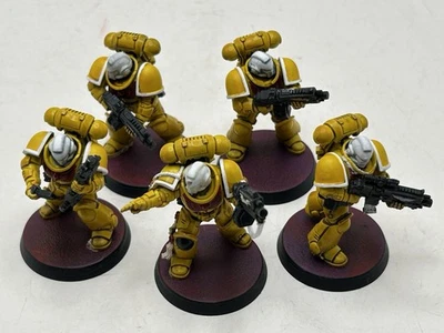 Warhammer 40K Primaris Intercesores (5) Marines Espaciales Ejército Lote Pintado Foto 1 de 4