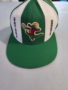 Rare Vintage 83 Gator Bowl Iowa Hawkeyes Football Lucky Stripes Trucker Hat Cap - Picture 1 of 9