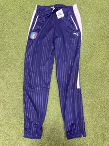 PUMA Italy FIGC Men's Stadium Pants 2016 - Picture 1 of 5