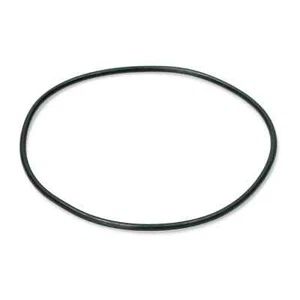 OR VITON COPERCHIO 3375 94,92 X 2,62 PER MACCHINA CAFFE' DIDIESSE MODELLO FROG - Imagen 1 de 1