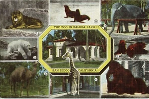 Poststempel 1939 Postkarte Leinen Zoo Balboa Park San Diego Kalifornien - Bild 1 von 2