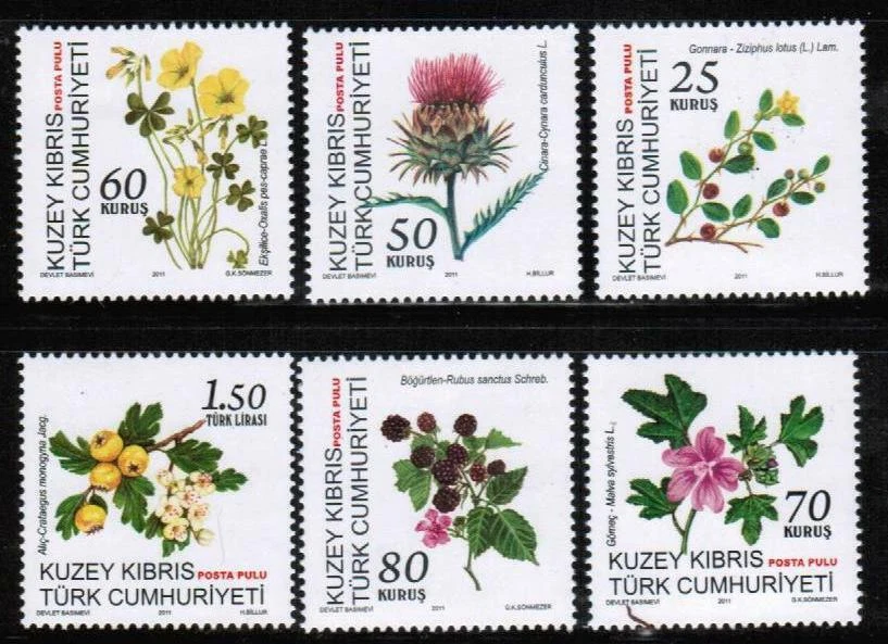 2011 TURKISH CYPRUS -PLANTS AND FRUITS - UMM STAMP  - Image 1 of 1