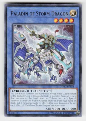 Cybernetic Horizon #CYHO-EN031 Paladin of Storm Dragon - Image 1 of 2