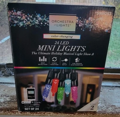 Gemmy Orchestra Of Lights 24 LED Color Changing  Mini Lights - Image 1 of 3
