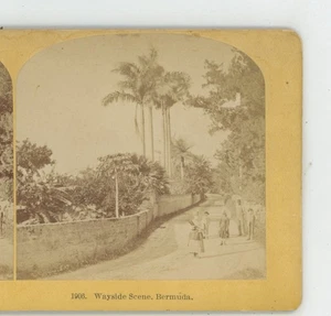 Wegeszene Bermuda Kilburn Stereoview um 1870 - Bild 1 von 2