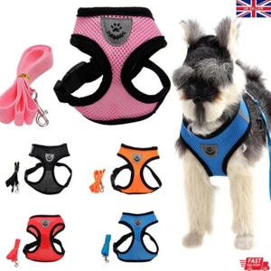 Dog Harness No Pull For Small Medium Large Dogs Anti Pull Strong And Adjustable - Picture 1 of 20