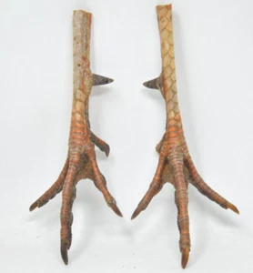 Southern Wild Turkey Feet with Spurs Dried Open Matched Set - Picture 1 of 4