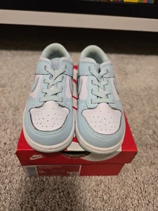 Nike Dunk Low White/Glacier Blue FB9107-105 Toddler Size 9C - Picture 1 of 9