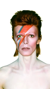 11x17 David Bowie Photo Poster Glam Rock Iconic Makeup Ziggy Stardust Full - Picture 1 of 1