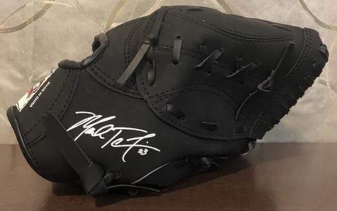 Dreyer's Ice cream Mark Teixeira #23 Texas Rangers Promo Baseball Mitt Giveaway Cover