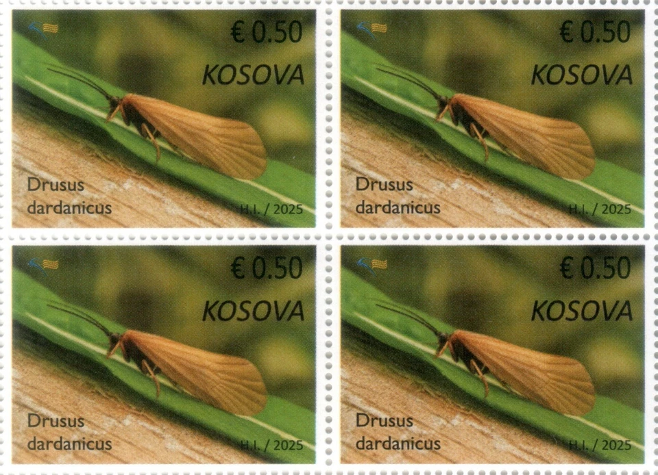 Estampillas de Kosovo 2025. Fauna endémica: Drusus dardanicus. Bloque Definitivo 4 Foto 1 de 1