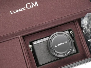 English OK MINT IN CASE LUMIX DMC GM1 Black 16.0MP Digital Camera G 12-32mm Lens - Picture 1 of 20