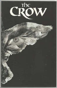 THE CROW: DEATH AND REBIRTH - NECRA VARIANT - LTD 3000 - NM 9.4+ - IDW 2012 - Picture 1 of 1