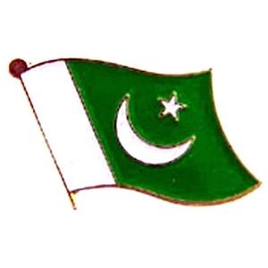 Pakistan Flag Lapel Pin / Pakistan Pin - Bild 1 von 1