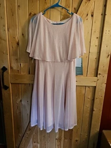 Neu mit Etikett J Taylor Damengröße 14 Rouge Glitzer Chiffon Cape Fit and Flare Kleid - Bild 1 von 5