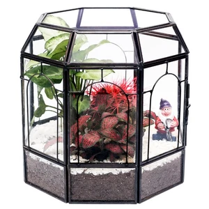 Grande Terrario in Vetro Fatto a Mano, Centrotavola Vetrina Regalo Fioriera Contenitore... - Foto 1 di 8