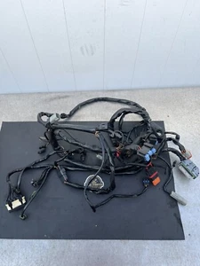 2004-2006 Harley Davidson FXD Dyna Main Engine Wire Harness 69602-04 - Picture 1 of 5
