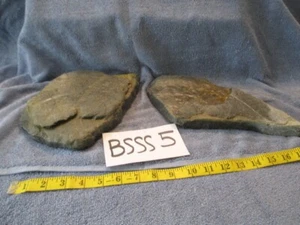 Natural Aquarium Rock/Stone Decorations Design a Beautiful Real Aquarium Display - Picture 1 of 3