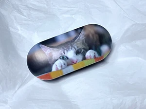 Double Clamshell eyeglass case - kitty cat photo - great for traveling - Picture 1 of 5