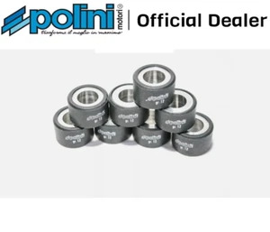 Rulli variatore Polini misura 25x16 peso 12 gr. kit da 8 rulli - Imagen 1 de 7