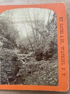 VIntage STEREOVIEW CARD No. 9 Watkins Glen NY Mystic Gorge Gates & Co #15 - Picture 1 of 4
