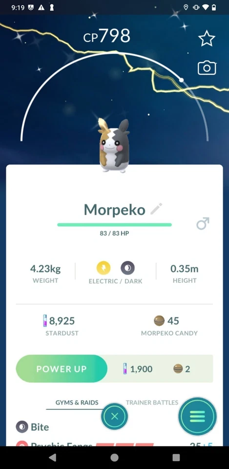 Shiny Morpeko (Full Belly) - Mini PTCs 80KStardusts - Read Description - Image 1 of 1