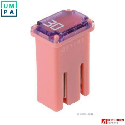 FUSE 50295355 - Image 1 of 4